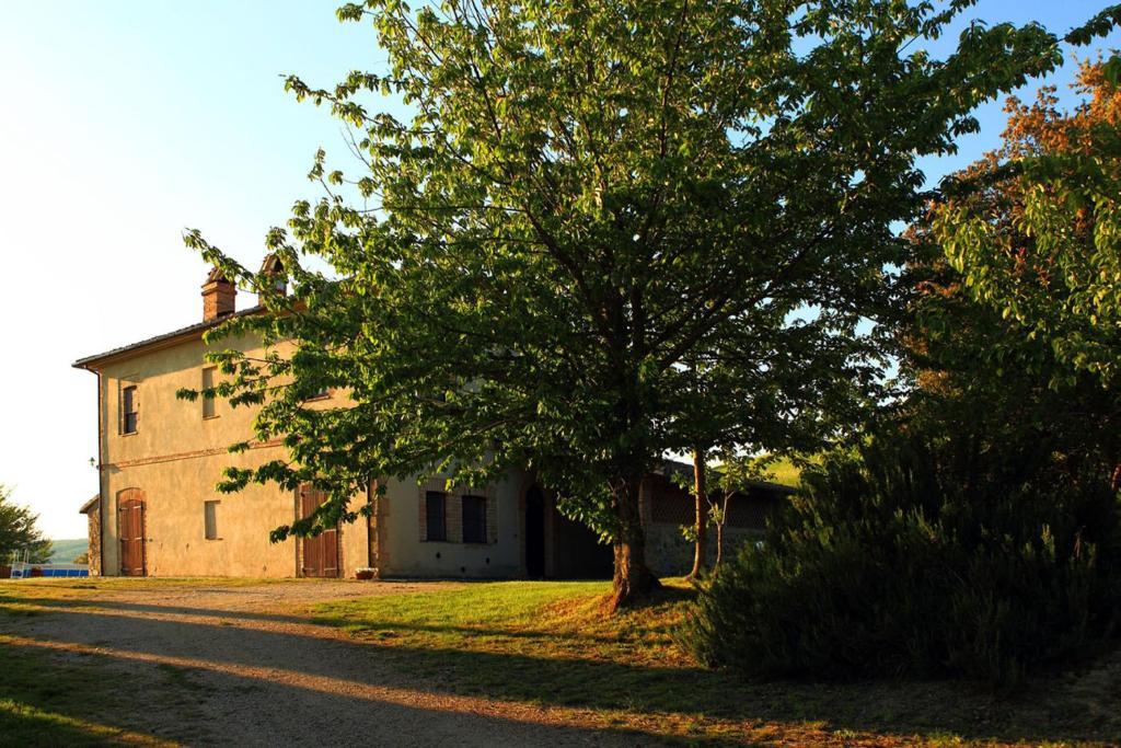 Tenuta Di Corbara Corbara (Umbria) Quarto foto